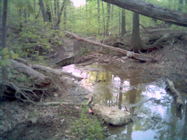 Wooded stream bed with fallen logs and muddy water. Supermotors.net logo in lower right