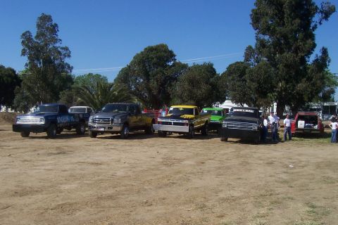 1994 Ford F-150 - A collection of pickup trucks are gathered outdoors on a sunny day.