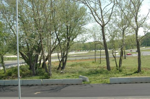1993 Ford Mustang - A red sports car navigates a turn on a race track, with trees and concrete barriers lining the course.