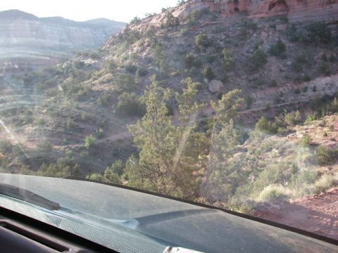 1996 Ford Bronco - More of the same trail