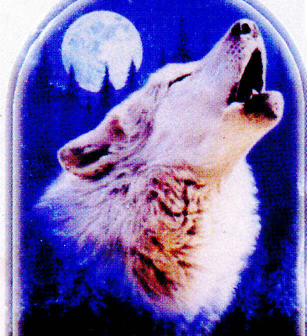 decal of wolf howling at moon