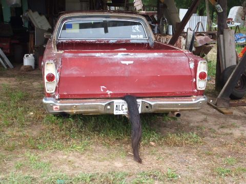 1966 Ford Ranchero - Rear view of a faded red Ford Ranchero car-pickup parked on grass beside a shed, showing its weathered tailgate, round taillights, chrome r…