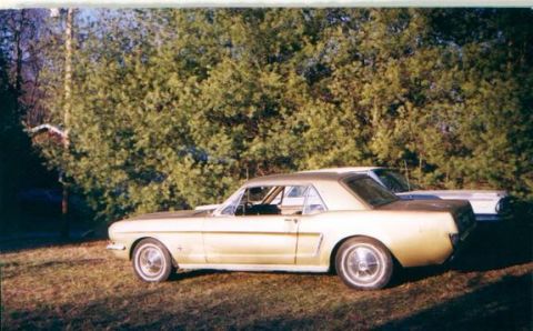 1982 Ford LTD Crown Victoria - My old '64 Mustang, with my old '63 Galaxie 500 in the backround.
