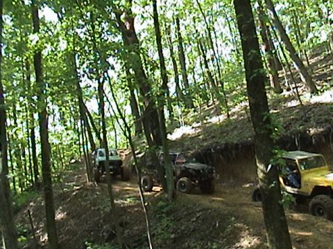 1996 Ford Bronco - Off-road vehicles navigate a wooded trail.