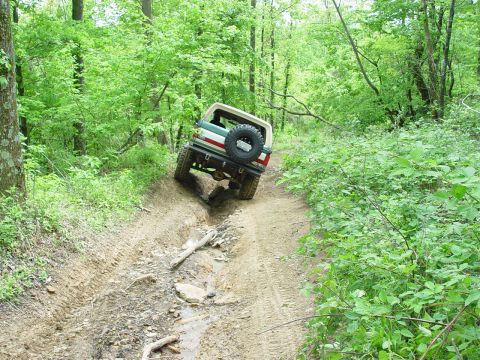 1996 Ford Bronco - Ford Bronco navigates a challenging off-road path surrounded by dense green foliage.