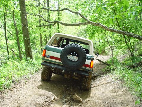 1996 Ford Bronco - Ford Bronco navigates a wooded trail with a spare tire mounted on the back.
