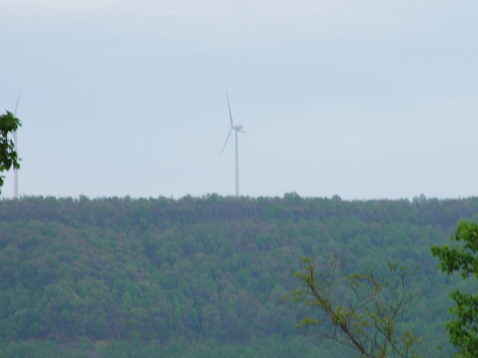 Wind turbines stand tall on a tree-covered hill under a hazy sky