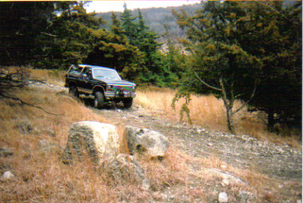 1986 Ford Bronco - Ford Bronco navigates a rough, off-road path through a wooded area with dry vegetation.