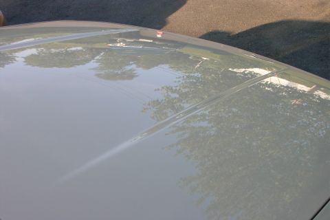 1996 Mercury Grand Marquis - The hood of a gray car is visible, reflecting the surrounding environment and a red hood ornament.