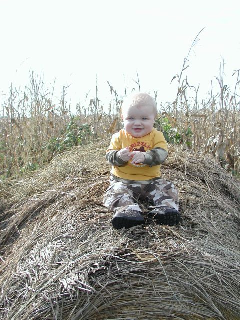 1998 Jeep TJ - A baby enjoys a sunny day sitting atop a haystack in a field of corn.
