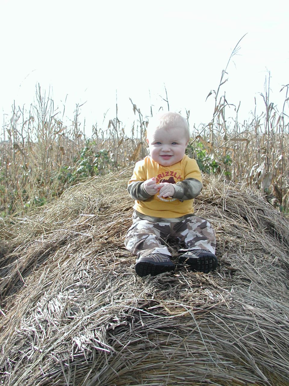 Baby in yellow shirt and camouflage pants sits on haystack with corn stalks behind