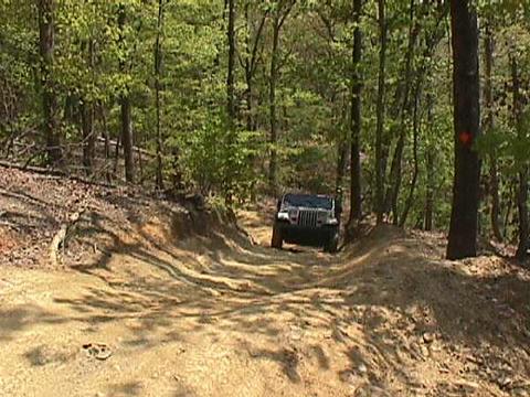 1996 Ford Bronco - A Jeep Wrangler navigates a dirt trail surrounded by trees.