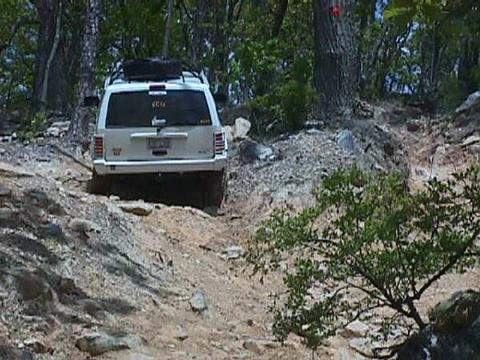 1996 Ford Bronco - A white SUV navigates a challenging off-road path through a wooded area.