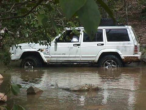 1996 Ford Bronco - A white SUV navigates through a muddy, shallow body of water surrounded by trees.