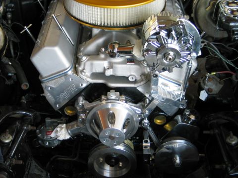 1981 Chevrolet Corvette - Zoops look great