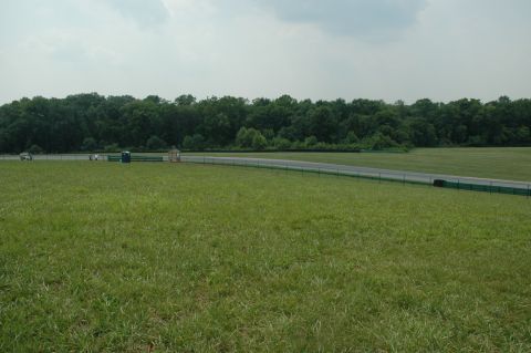 2000 Ford Mustang - A wide shot of a race track with two cars visible in the distance, bordered by trees and grassy fields.