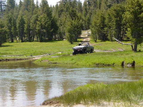 1986 Ford Bronco - Pickup truck navigates a water crossing in a wooded, grassy area.