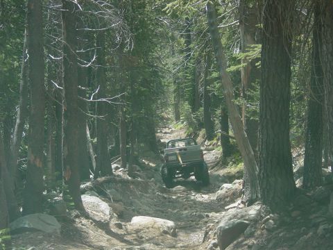 1986 Ford Bronco - 1986 Ford Bronco navigating a challenging off-road trail through a forest.