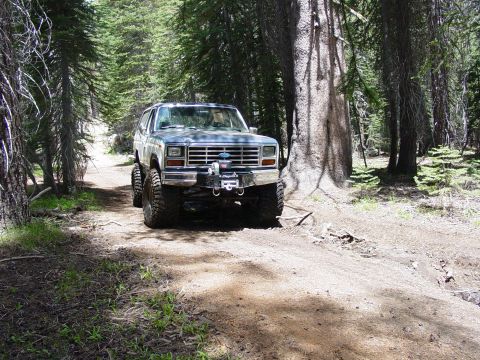 1986 Ford Bronco - Ford Bronco navigates a wooded trail with tall trees and a dirt path.