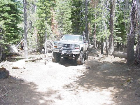 1986 Ford Bronco - A lifted Ford Bronco navigates a rocky trail through a dense forest.