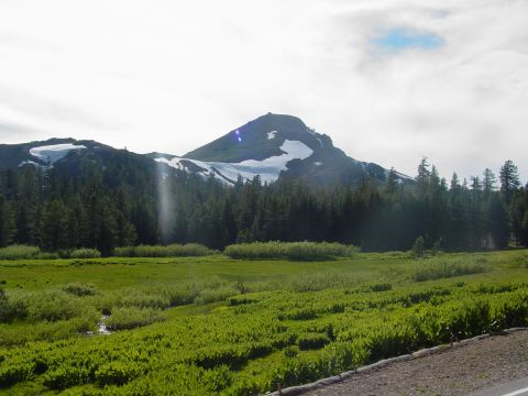 1986 Ford Bronco - A scenic view of a snow-capped mountain range surrounded by dense pine forests and lush green meadows.