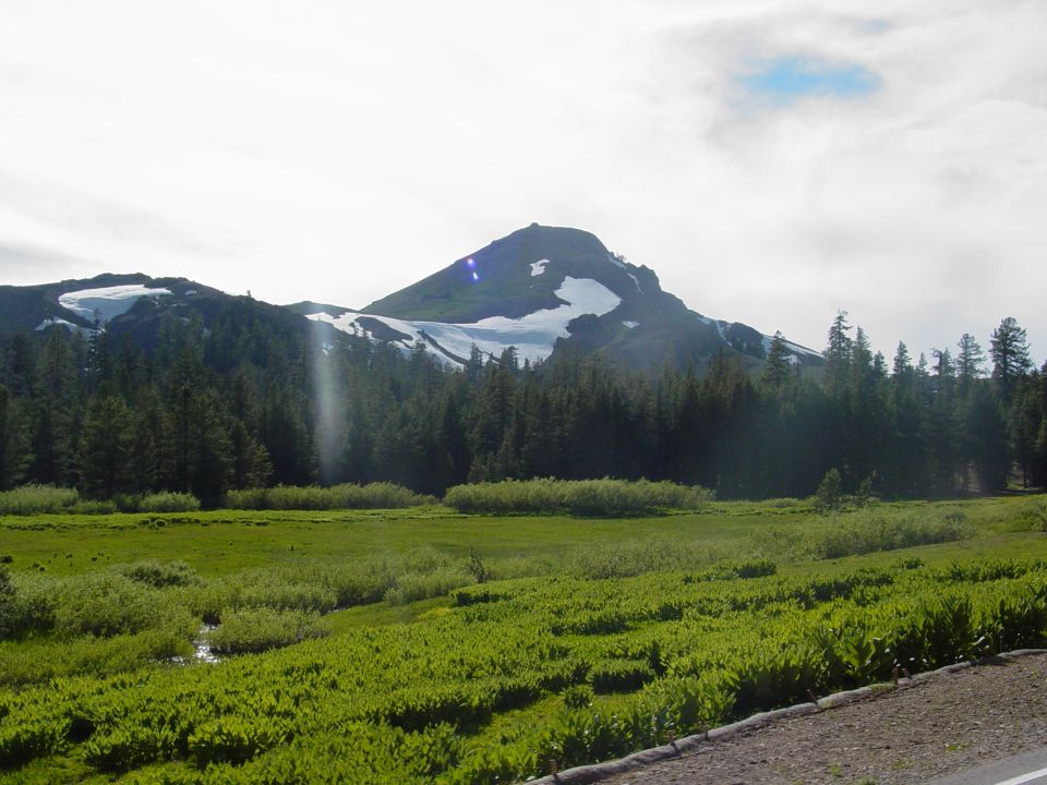 Mountain with snow patches, green forest, and a grassy field