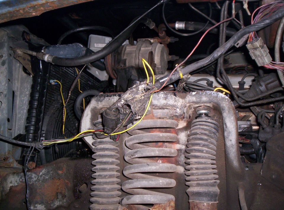 Upper Suspension Area. 

I have removed the plastic wheel wells so I can cut away the nuts that are fused onto the shocks.