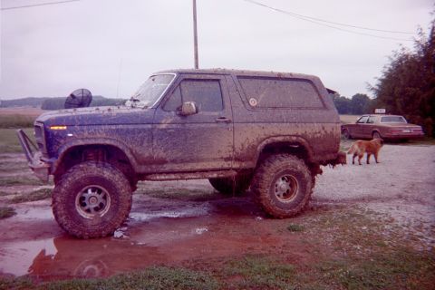 1982 Ford Bronco photo
