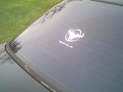 1993 Ford Taurus - Car rear window displays a bull logo sticker and website text.