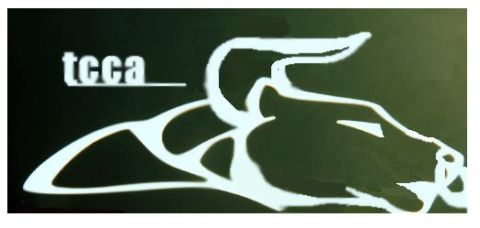 1993 Ford Taurus - A stylized logo a bull's head and the text "teca" is displayed against a dark background.