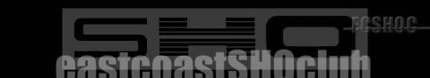 1993 Ford Taurus - This image displays a logo and text related to a car club, not a specific vehicle model year.
