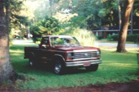 1998 Ford Taurus - Another pic of my 1981 F-100