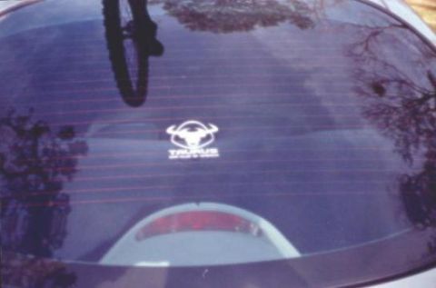 1998 Ford Taurus - Picture of new TCCA decal on my back winshield
