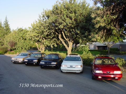 1998 Ford Taurus - Picture of a line of 1st Generation SHO's