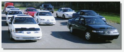 1998 Ford Taurus - Picture of a group of SHO's