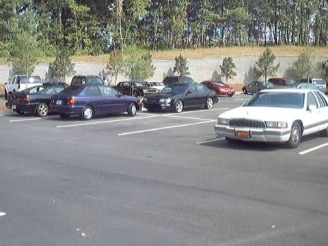 1998 Ford Taurus - A variety of cars are parked in an outdoor lot, with trees and a retaining wall in the background.