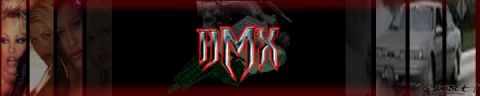 1993 Ford Taurus - Webmaster of the Taurus Car Club of America, DMX's new sig.