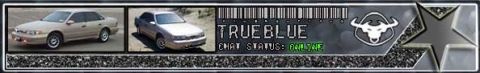 1993 Ford Taurus - A wide forum signature banner graphic combining two photos of a silver-gold four-door sedan, a front three-quarter shot and a side/rear thr…