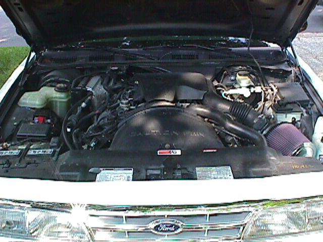 V8 engine bay of a Ford with red cone filter, hood up, Ford grille badge