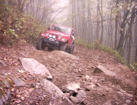 1990 Ford Bronco - Red Jeep Wrangler navigates a challenging off-road trail through a wooded area.