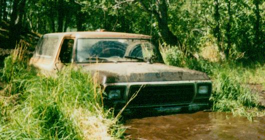 Muddy tan Ford Bronco submerged to its grille in a creek surrounded by tall grass and trees