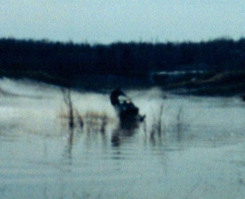1978 Ford Bronco - They were fun to watch while they were there