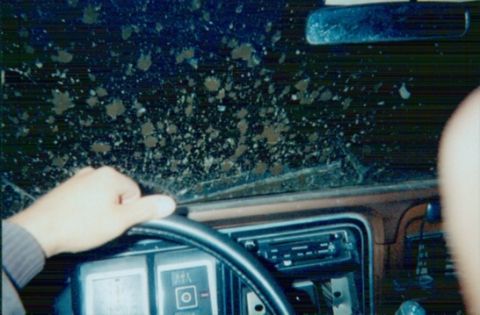 1978 Ford Bronco - My point of view at the end of the day