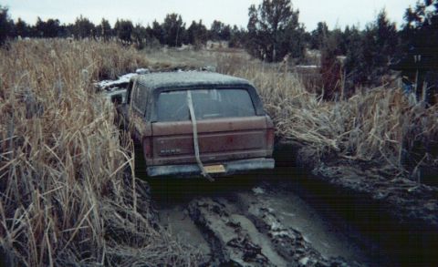 1978 Ford Bronco - See?