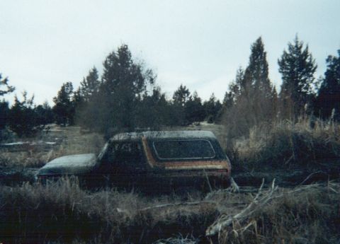 1978 Ford Bronco - Flying mud