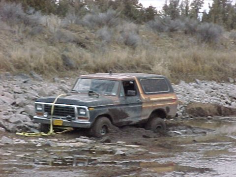 1978 Ford Bronco - This 1978 Ford Bronco is stuck deep in the mud, with its front tires partially submerged.