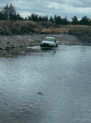 1978 Ford Bronco - A white pickup truck is driving through a body of water with a muddy embankment in the background under a cloudy sky.