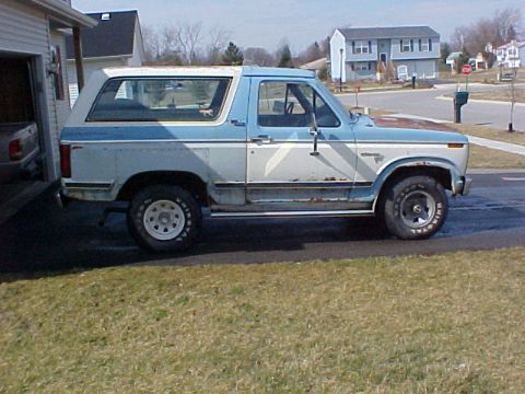 1981 Ford Bronco photo