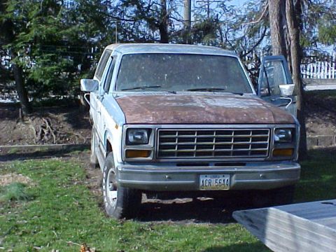 1981 Ford Bronco photo