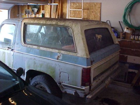 1981 Ford Bronco photo